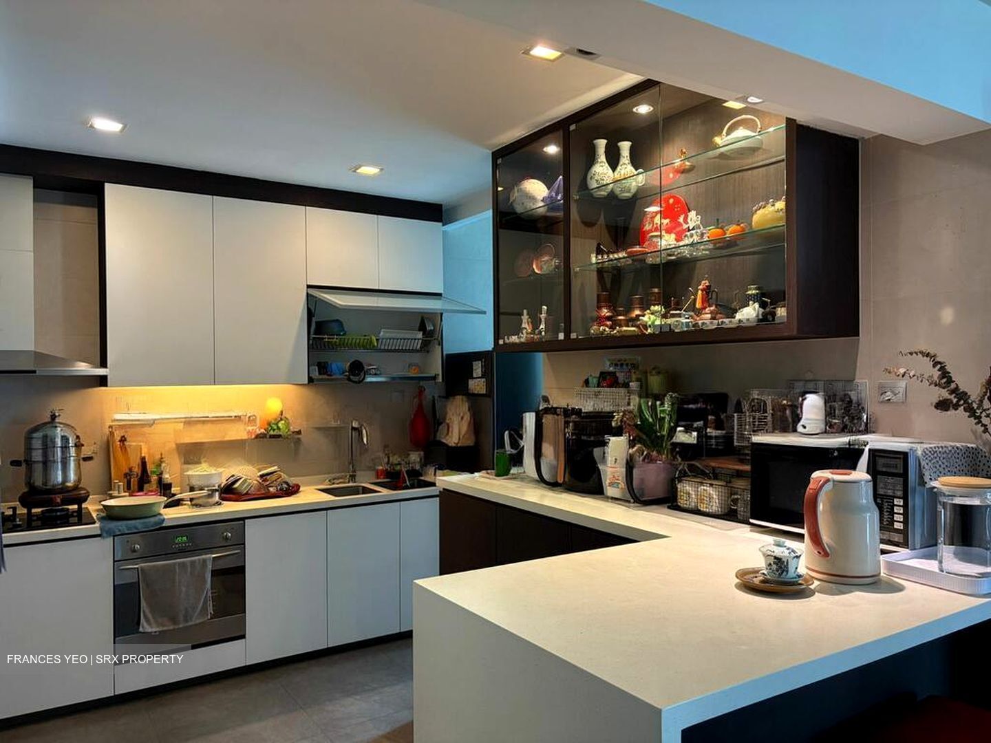 Parc Oasis (D22), Condominium #520142671